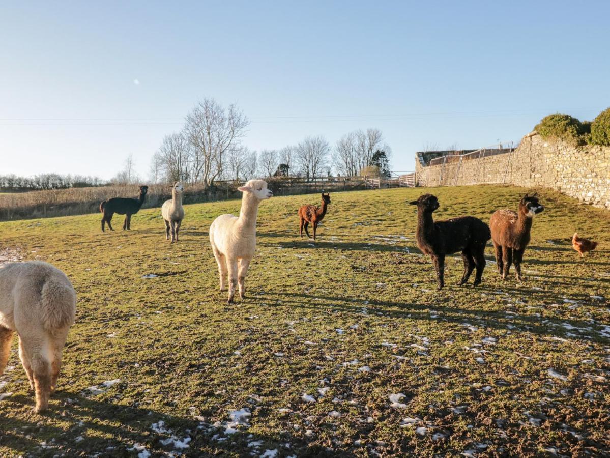 Granary Leilighet Ulverston Eksteriør bilde